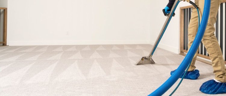 How Professional Carpet Cleaning Boosts the Cleanliness of Every Home