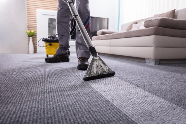 Transforming Home Health and Comfort with Expert Carpet Cleaning