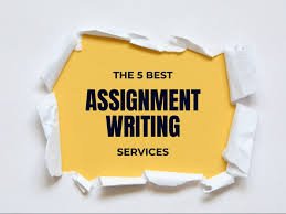 Get Professional Essay and Assignment Writing Services