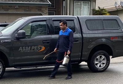 Why You Should Choose Pest Control Burnaby for Your Home