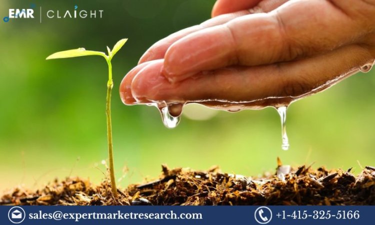 Agricultural Surfactants Market Size, Share, Growth and Industry Forecast | 2034