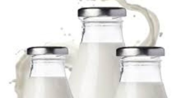 What Are the Best Daily Milk Delivery Plans in Chennai?