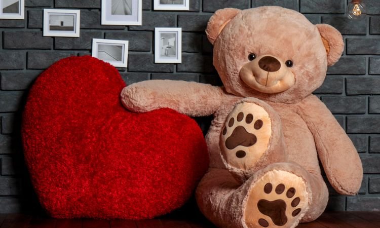 Heart Pillow vs. Teddy Bear: Which is the Best Comfort Gift?