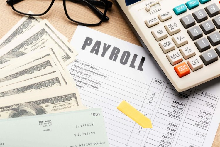 How Payroll Service Providers Help Ensure Tax Compliance and Accuracy